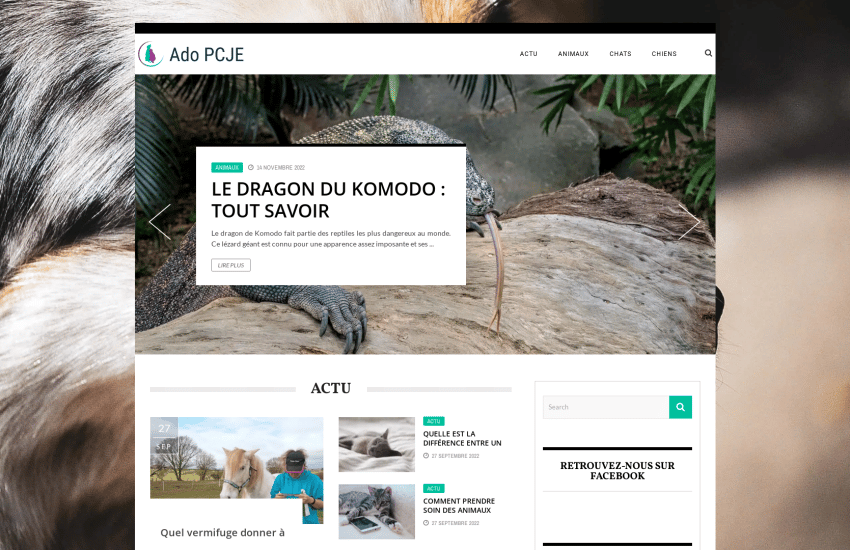 Patrice Morin Mes Derni res R alisations Patrice Morin Mes Derni res R alisations